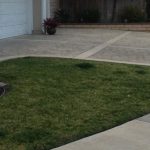 greener spots on lawn