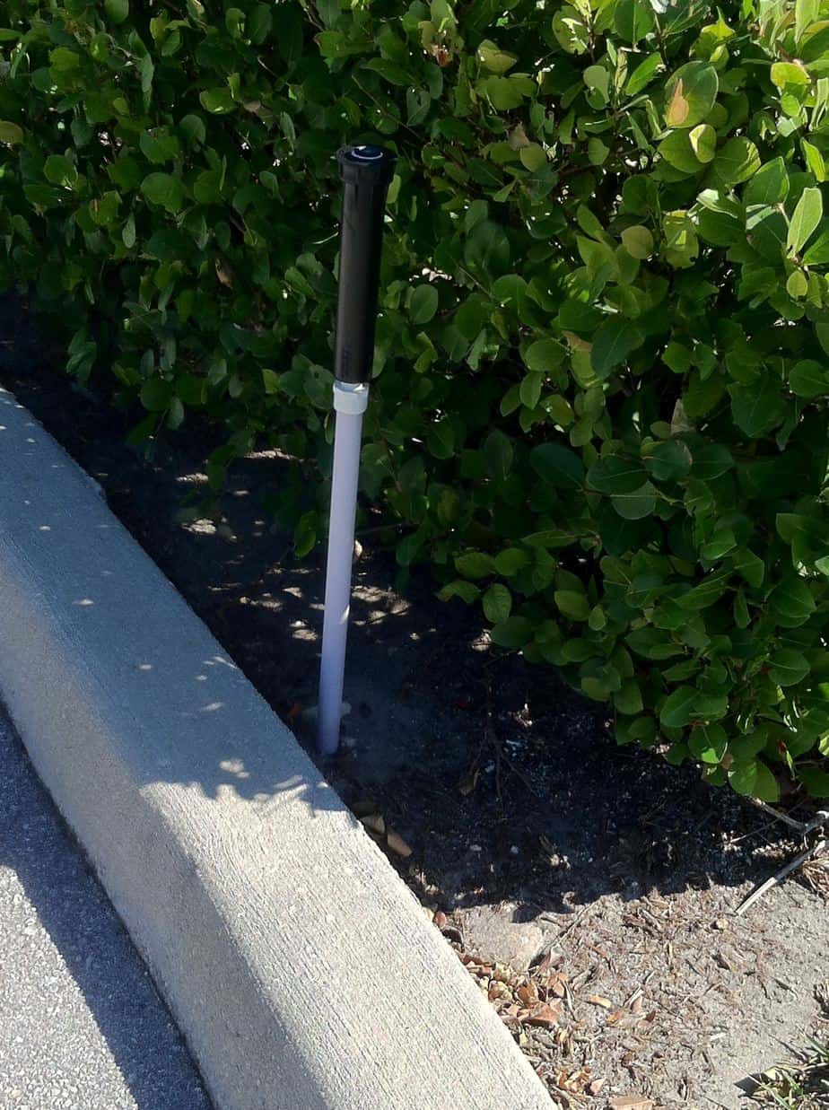 Higher Shrubs Require Taller Sprinkler Heads R and R Sprinkler