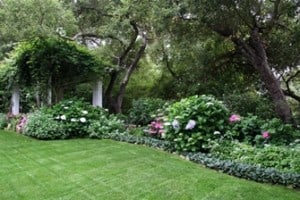 victorian-landscaping