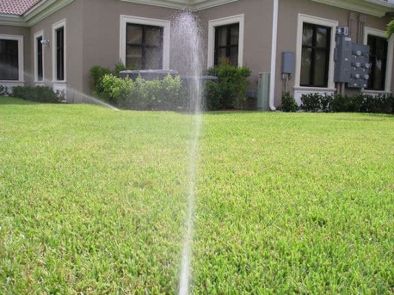 Rotor Sprinklers for large areas