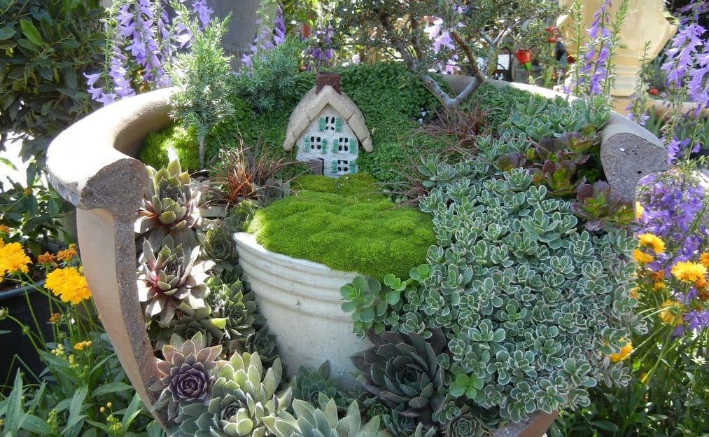 Fairy Garden