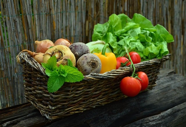 Vegetable Gardening