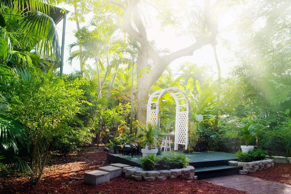 South Florida Plant Guide: How To Achieve Beautiful Low Maintenance View Larger Image - South Florida Plant Guide: How To Achieve Beautiful Low Maintenance