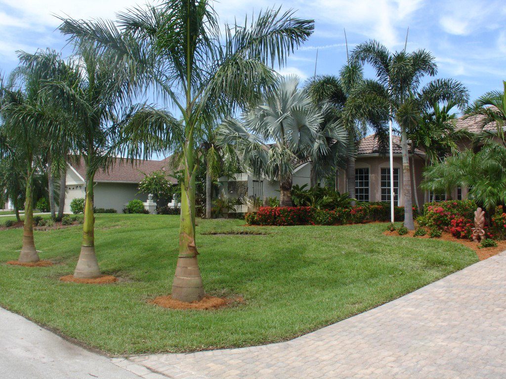 Dress Up Your Drive Way Landscaping Tips To Make Your Property More Welcoming