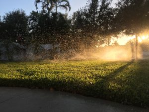 Things To Keep In Mind When Hiring A Professional Irrigation Service