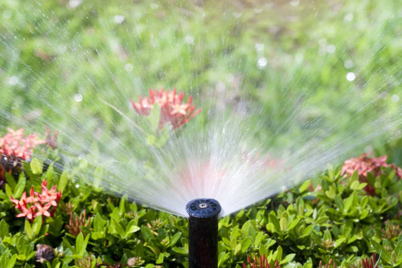 Choose the Right Sprinkler Heads for Your Southwest Florida Yard