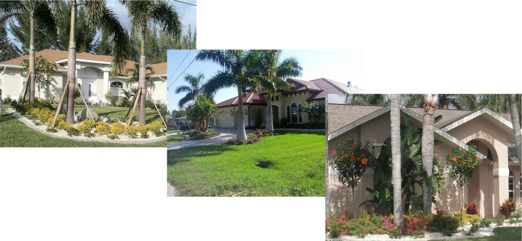 Featured image of post Plants For Front Of House In Florida - Concentrate on the complete setting, not just every house facade and site have visual assets and liabilities.