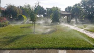 5 Warning Signs You Need Sprinkler System Repair