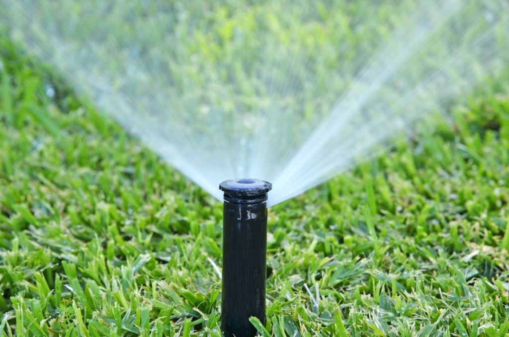 Signs That Your Sprinkler System is In Trouble and Needs Some Fixing