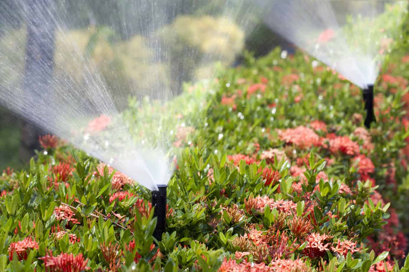 Water-Saving Irrigation System For Your Lawn And Garden