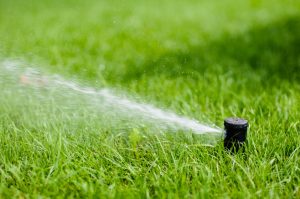 Choosing an Irrigation System for Your Florida Lawn