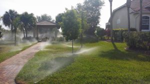 Smart Irrigation Month: What You Need To Know