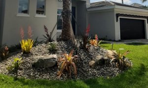 Gardening in Florida: Why Are My Newly Installed Plants Dying?