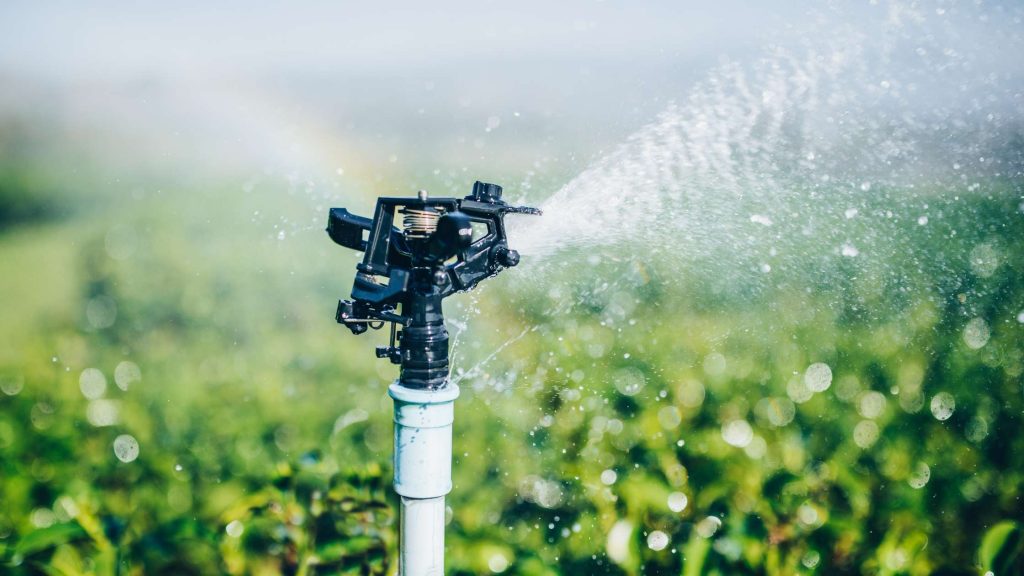 eco friendly yard design conserving water through landscaping