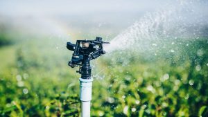 eco friendly yard design conserving water through landscaping