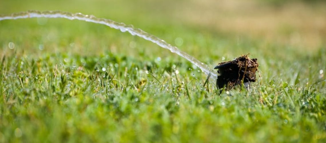 5 Signs You Need Sprinkler Repair