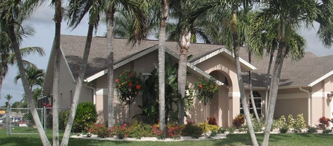 Caring for Your Cape Coral Garden in February