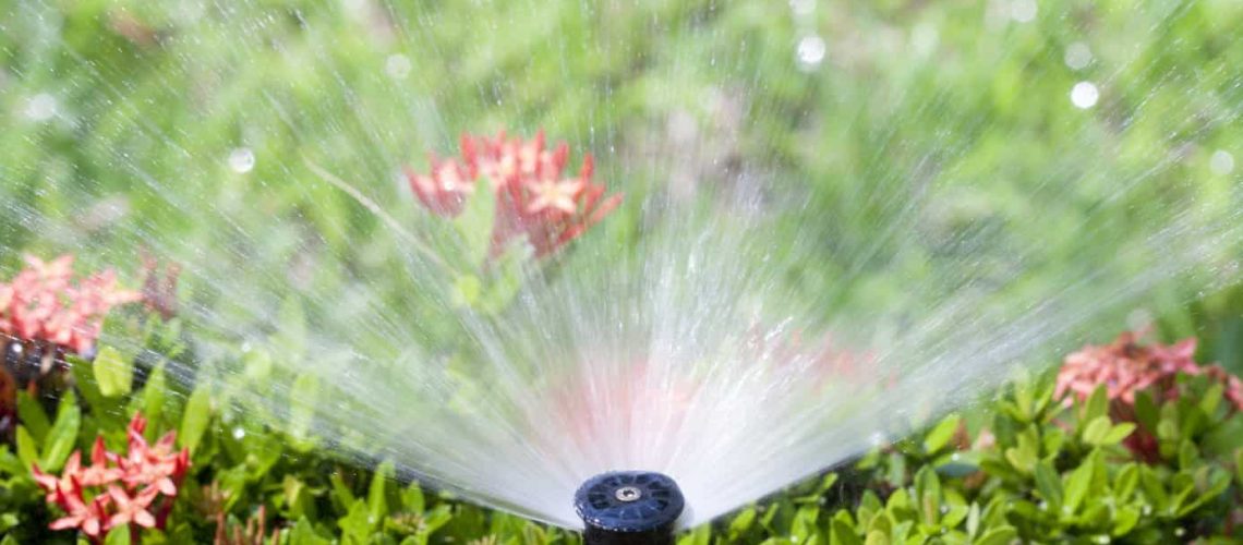 Choose The Right Sprinkler Heads For Your Southwest Florida Yard