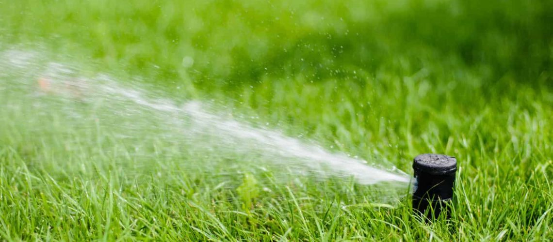 Choosing an Irrigation System for Your Florida Lawn