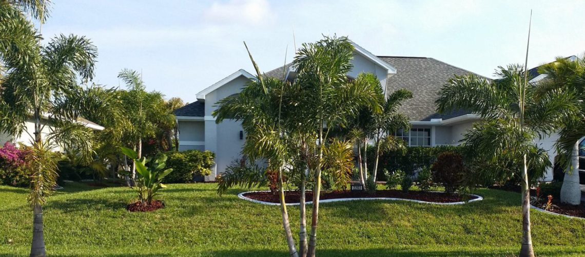 Common Landscaping Problems You Can Easily Avoid