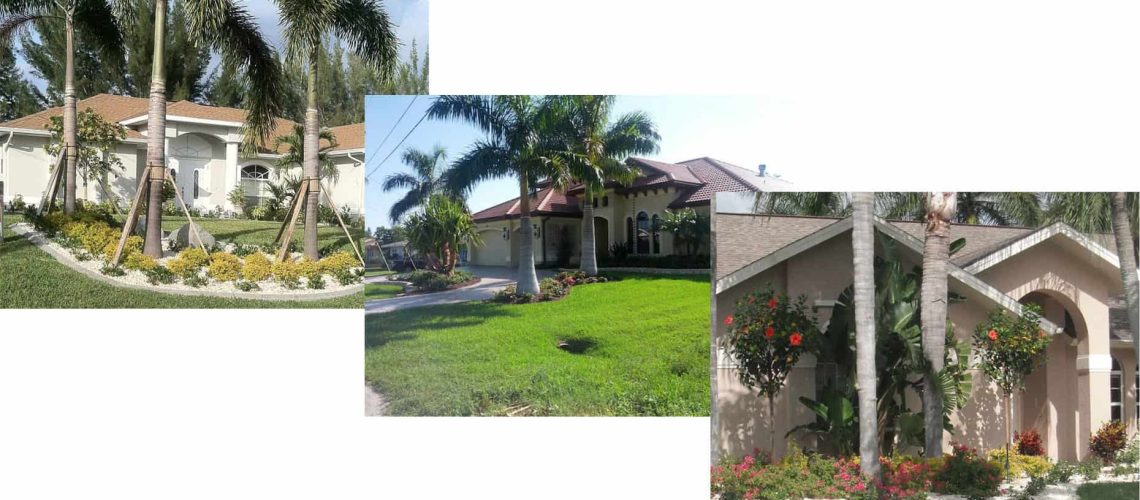 Curb Appeal Front Yard Landscaping In Southwest Florida