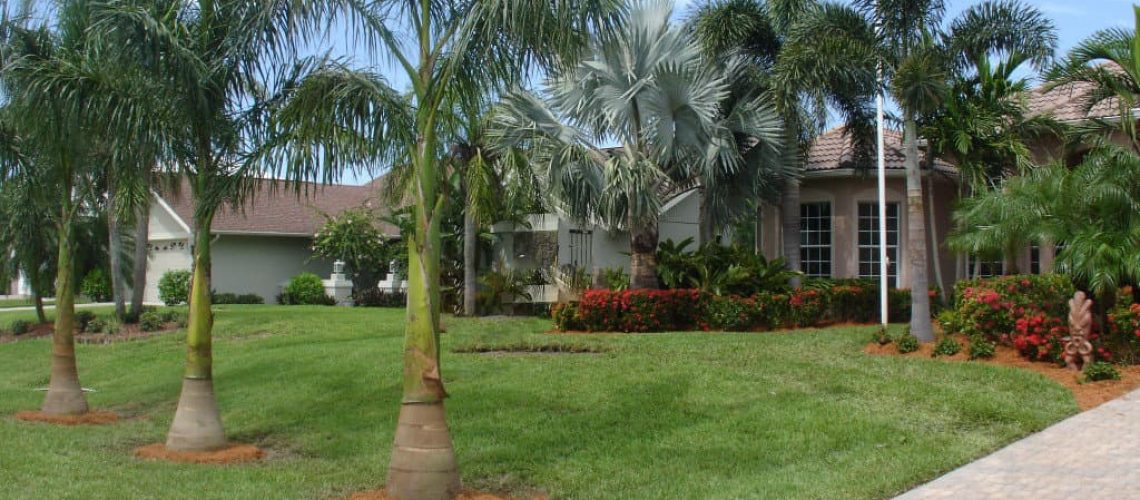 Dress Up Your Drive Way Landscaping Tips To Make Your Property More Welcoming