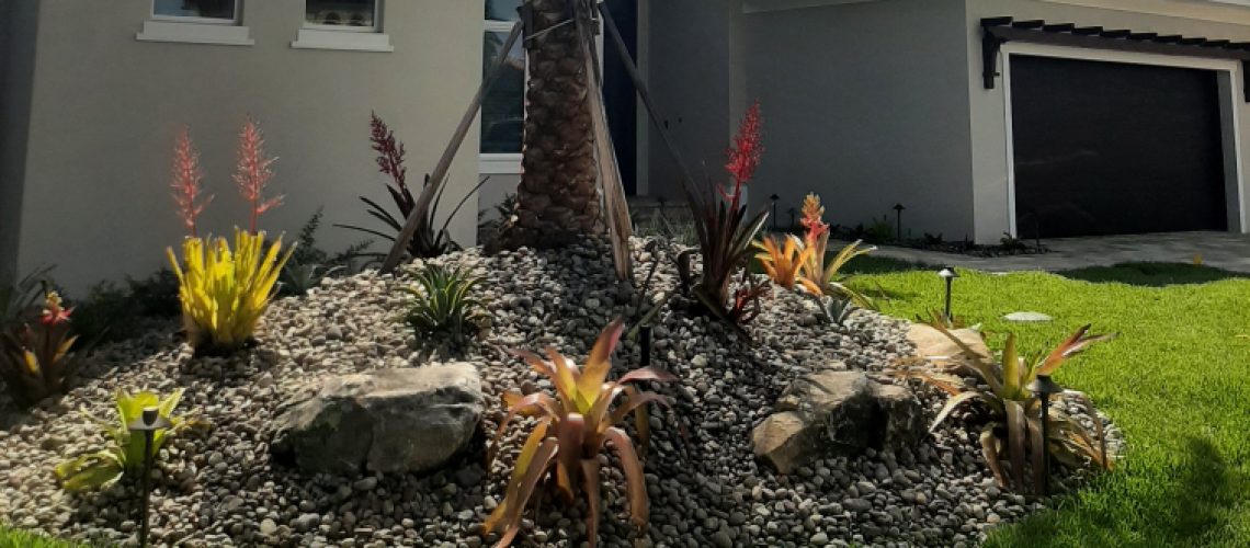 Gardening in Florida: Why Are My Newly Installed Plants Dying?