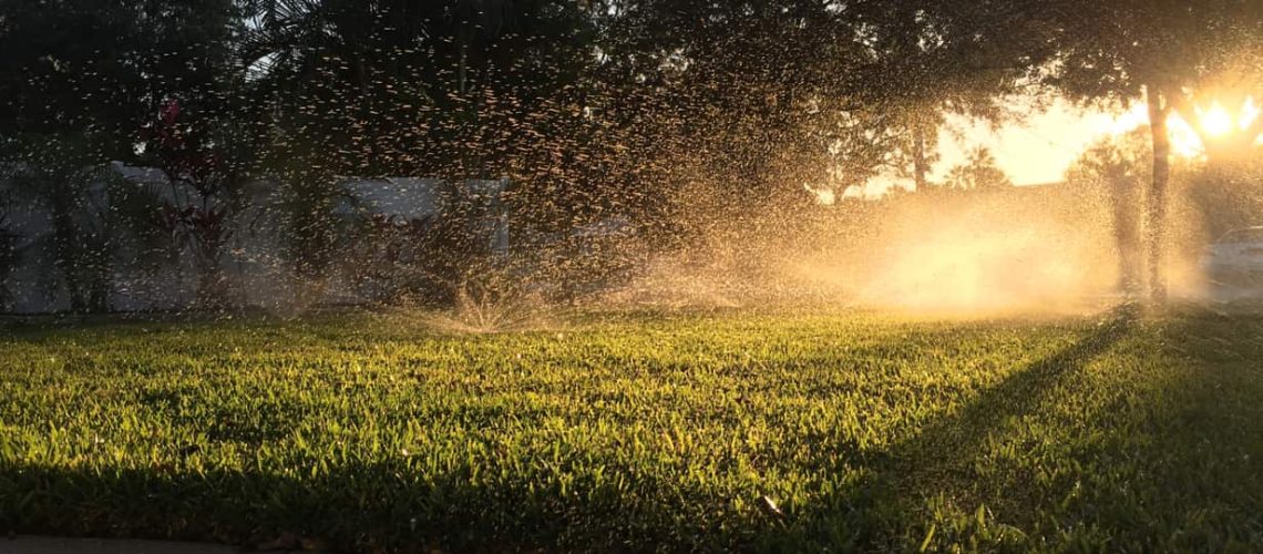 Things To Keep In Mind When Hiring A Professional Irrigation Service