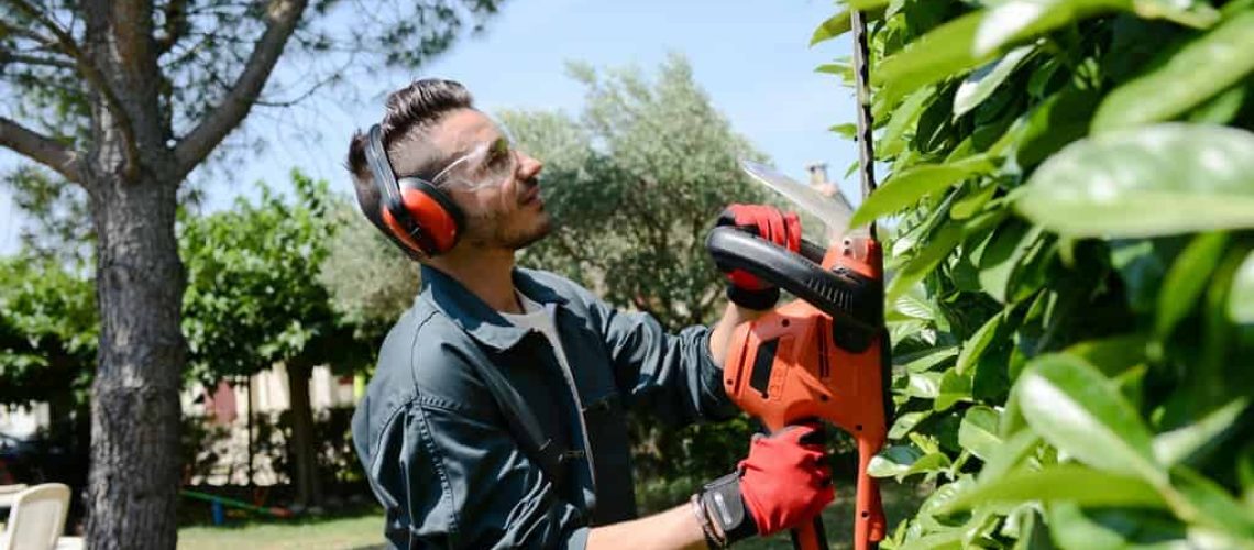 handsome young man gardener trimming hedgerow in park outdoor