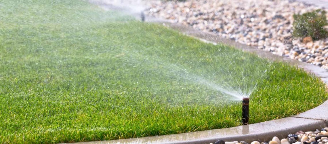 Why You Should Invest in Smart Irrigation
