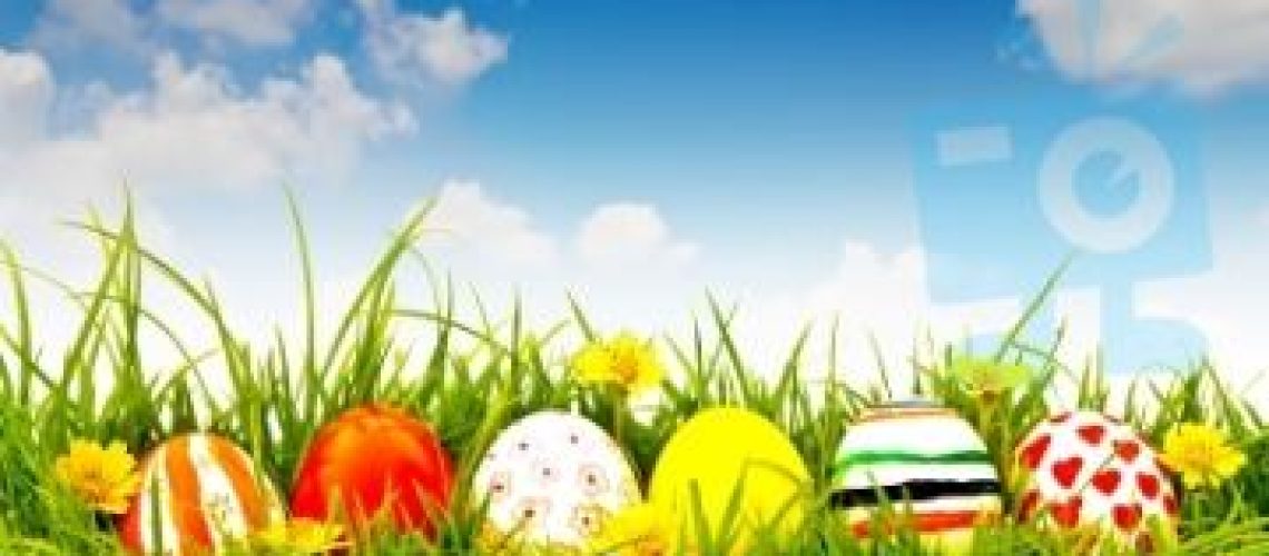 easter eggs in grass