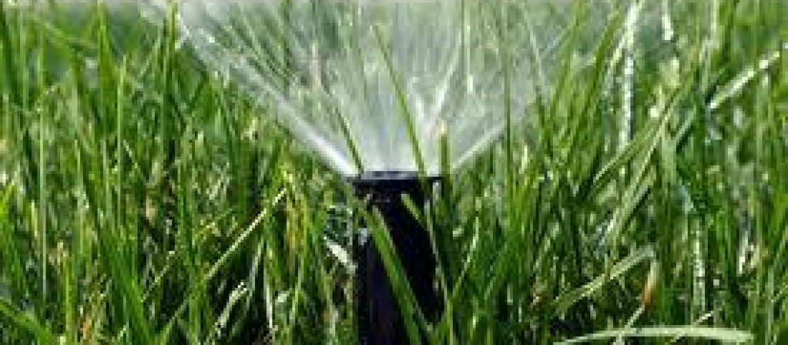fort-myers-irrigation-landscaping