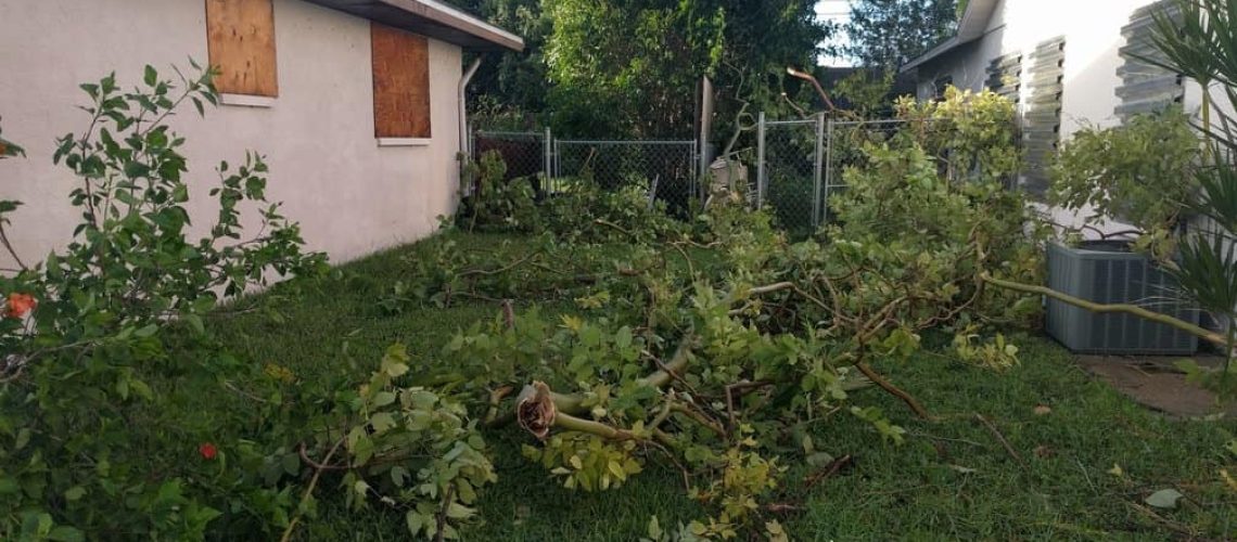 hurricane cleanup