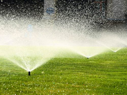 garden sprinkler on the green lawn garden sprinkler on a sunny summer day during watering the green lawn